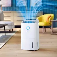 Product MÁY HÚT ẨM + LỌC KHÔNG KHÍ PHILIPS DE5305/11